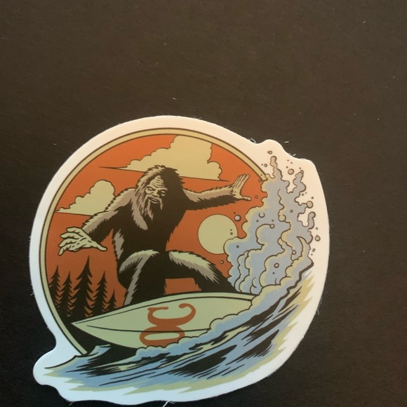 Do you believe in Bigfoot? - Picture 6 of 6